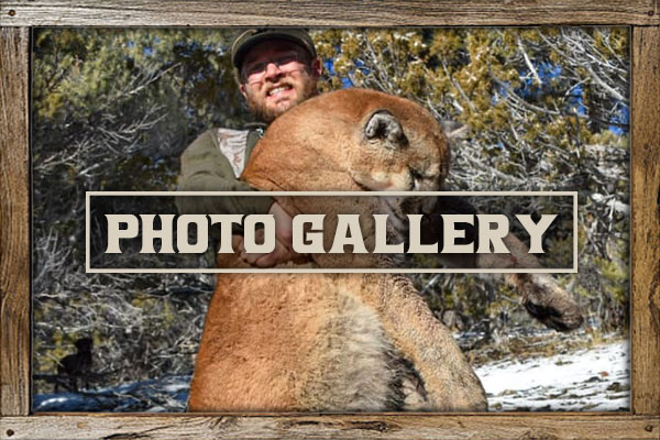 Secret Pass Outfitters Photo Gallery Secret Pass Outfitters Photo Gallery